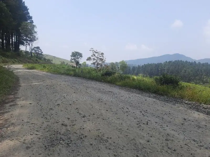 Land for Sale in Ramboda