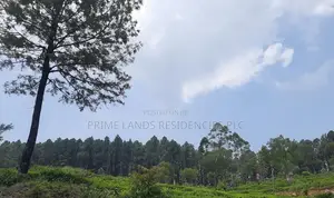 Land for Sale in Ramboda