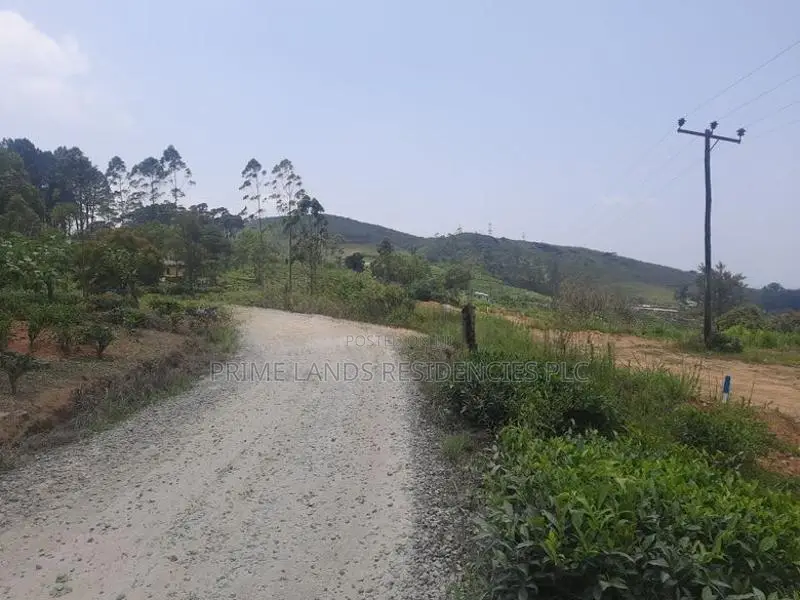 Land for Sale in Ramboda