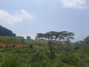Land for Sale in Ramboda