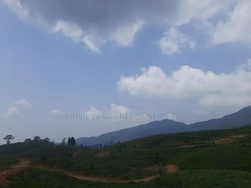 Land for Sale in Ramboda