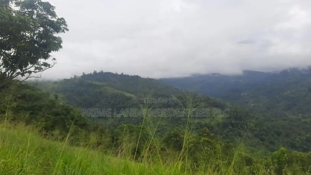 Land for Sale in Nillamba