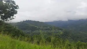 Land for Sale in Nillamba