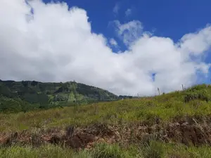 Mountain View Land for Sale in Delthota