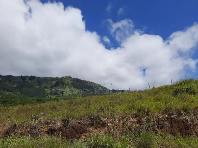 Mountain View Land for Sale in Delthota
