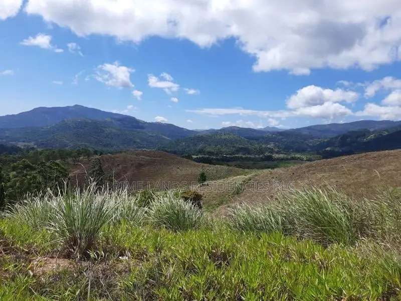 Mountain View Land for Sale in Delthota