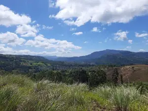 Mountain View Land for Sale in Delthota