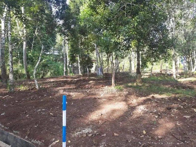 Land for Sale in Sinharagama