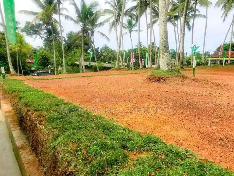 Best Land for Sale in Kubuka