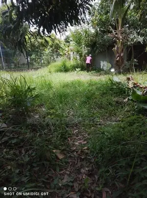 පර්චස් 14 ක ඉඩම විකිණීමට කිඹුලපිටියෙන්