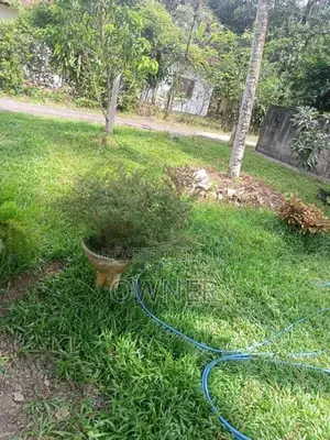 වටිනා සින්නක්කර ඉඩමක් විකිණීමට Ja Ela