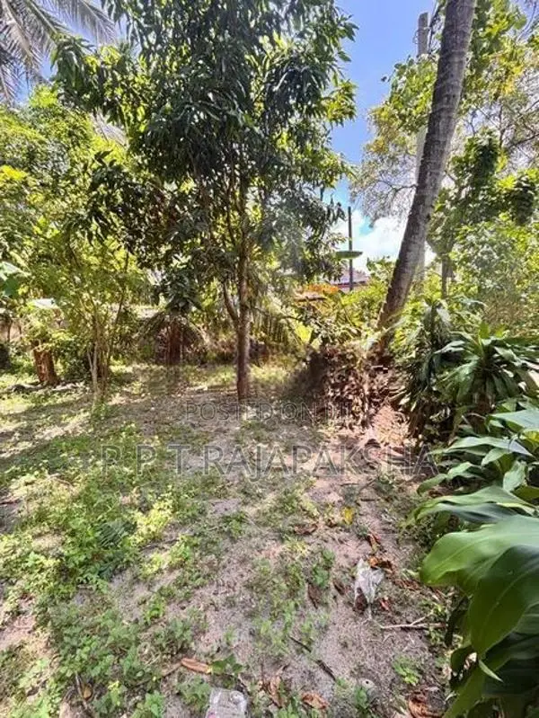 Land for Sale Gorakana