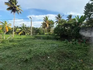 Land For Sale In Bandragama City