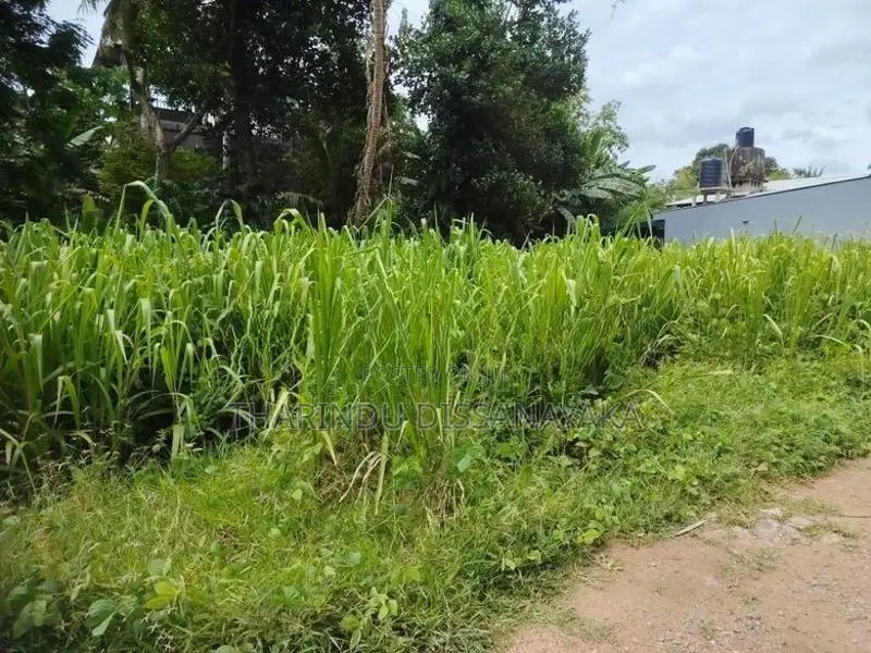 Land in Gampaha Miriswaththa Plot 01