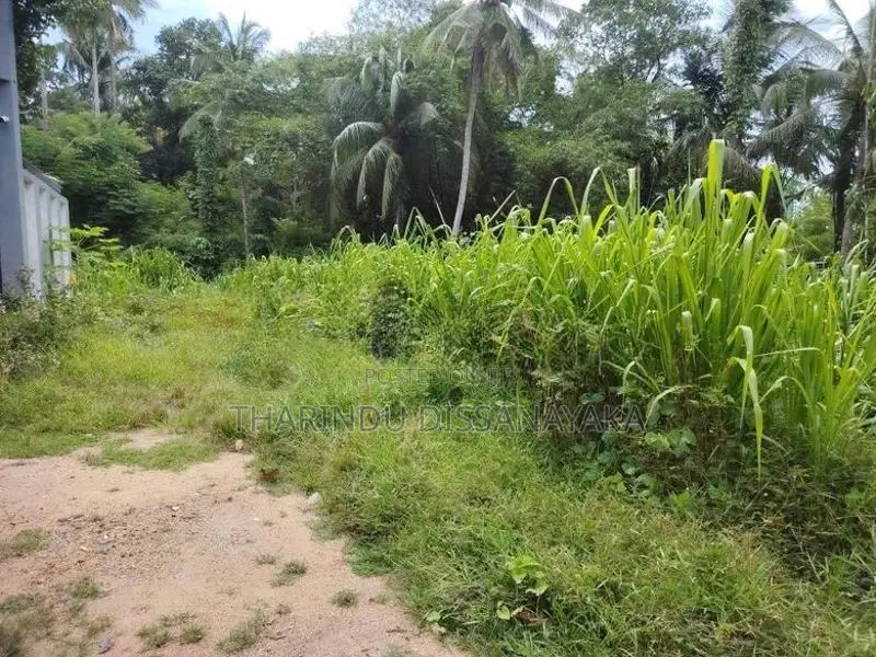 Land in Gampaha Miriswaththa Plot 01