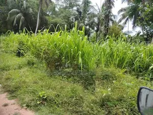 Land in Gampaha Miriswaththa Plot 01