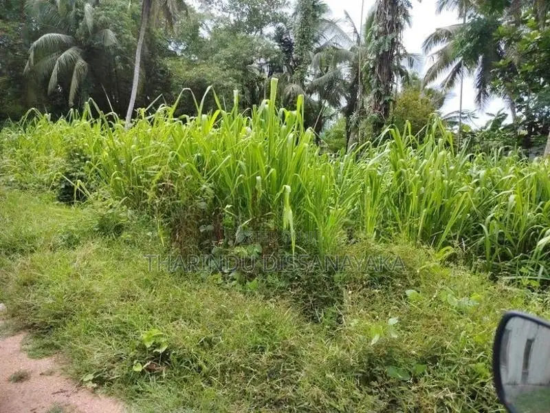 Land in Gampaha Miriswaththa Plot 01