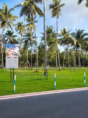 Mellawagedara Valuable Land Plots for Sale