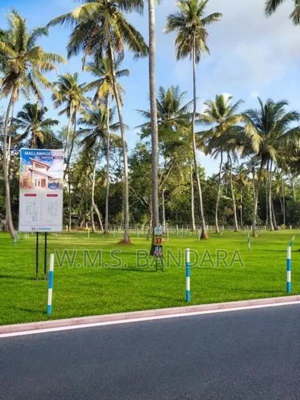 Mellawagedara Valuable Land Plots for Sale