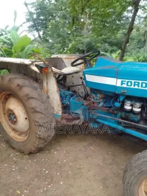 Ford 3600 1981 Tractor (Used)