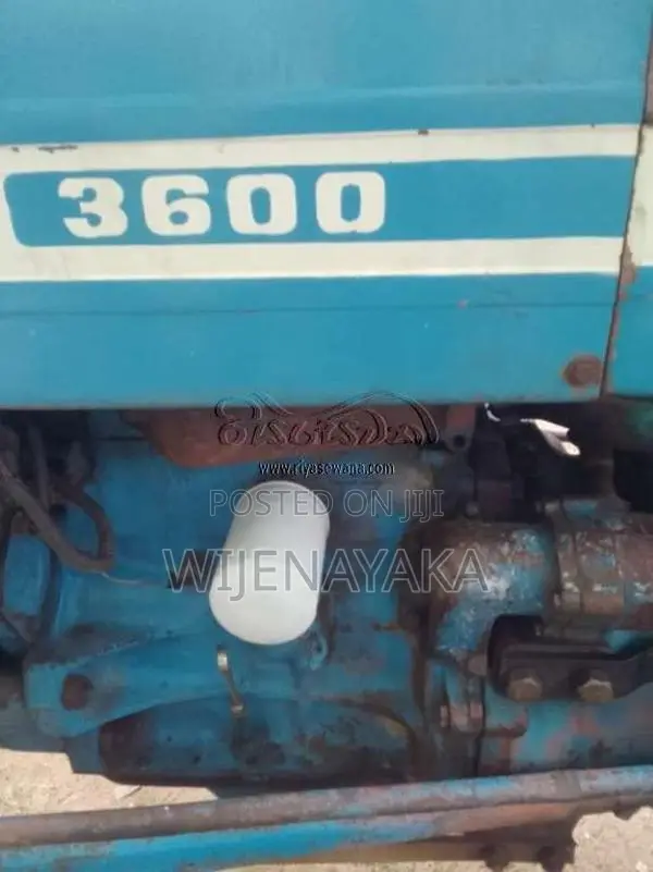 Ford 3600 1981 Tractor (Used)