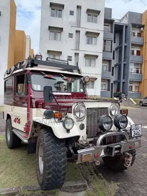 Mitsubishi 4DR5 1973 SUV (Used)