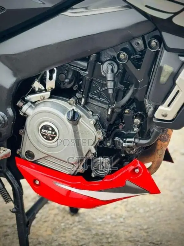 Bajaj Pulsar NS200 BGC 2018 Motorbike (Used)