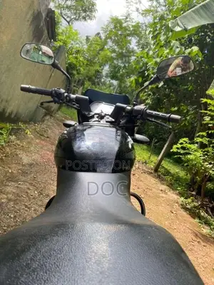 Bajaj Pulsar 150 2017 Motorbike (Used)