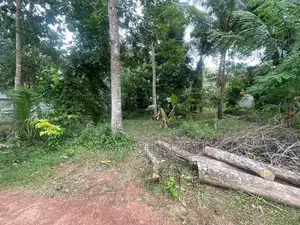 House and Land Sale