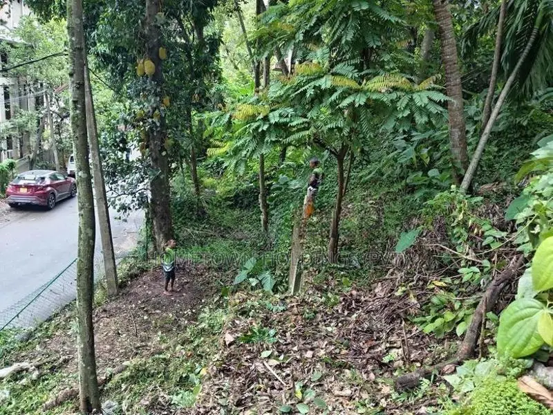 Land for Sale in Kandy City Limits