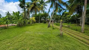 ජා-ඇල / මිනුවන්ගොඩ ප්‍රධාන පාරට ඉතා ආසන්නයෙන් ඉඩමක්/ ST 12695