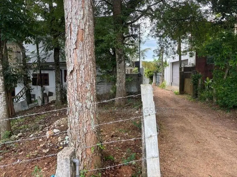 Flat Land for Sale in Richmond Hill Herassagala
