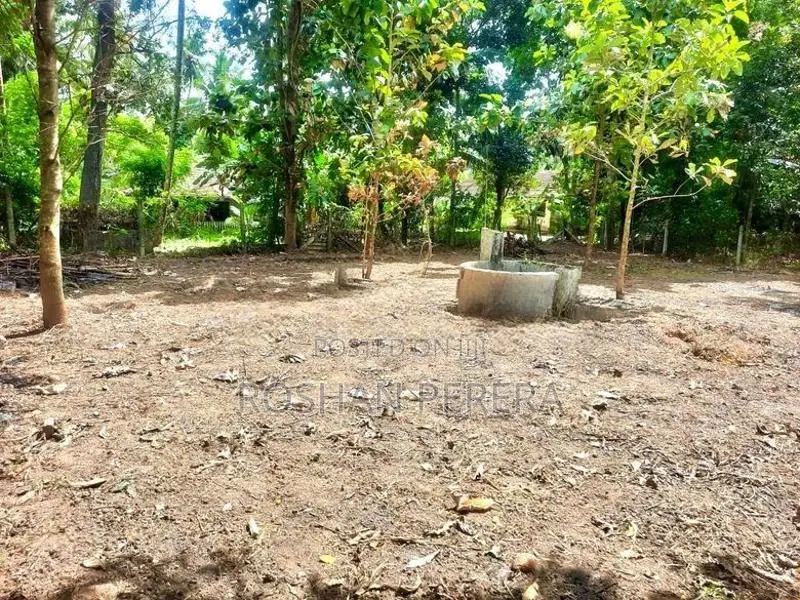 Land for Sale in Minuwangoda