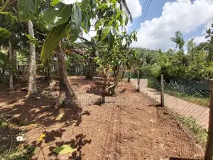 Land for Sale Dompe