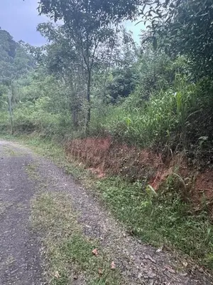 Land for Sale Peradeniya