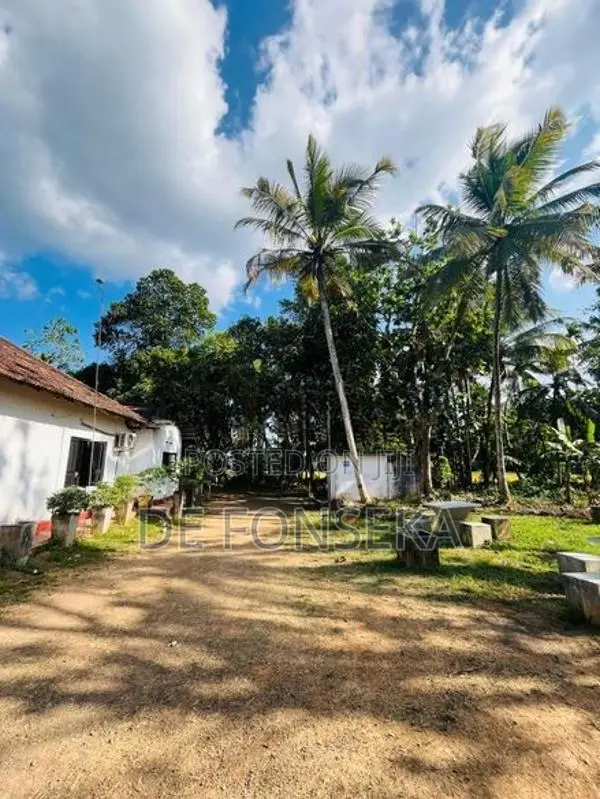Restaurant/Commercial Property / with Land for Rent Matara City