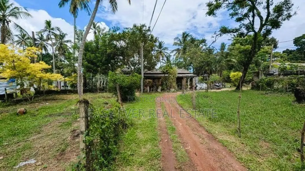 ජා-ඇල / මිනුවන්ගොඩ ප්‍රධාන පාරට ඉතා ආසන්නයෙන් ඉඩමක්/ ST 12695