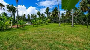 ජා-ඇල / මිනුවන්ගොඩ ප්‍රධාන පාරට ඉතා ආසන්නයෙන් ඉඩමක්/ ST 12695