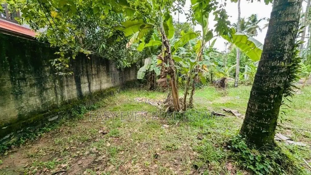ජා-ඇල / මිනුවන්ගොඩ ප්‍රධාන පාරට ඉතා ආසන්නයෙන් ඉඩමක්/ ST 12695