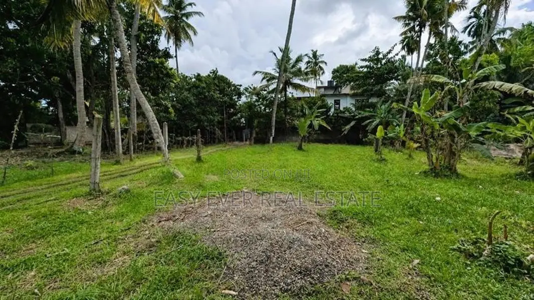 ජා-ඇල / මිනුවන්ගොඩ ප්‍රධාන පාරට ඉතා ආසන්නයෙන් ඉඩමක්/ ST 12695
