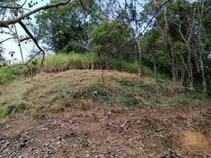 Land for Sale Gampola