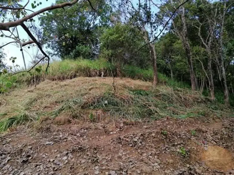 Land for Sale Gampola