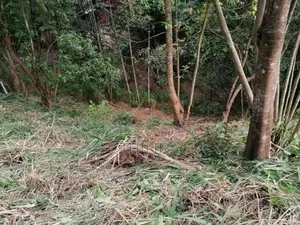 Land for Sale Gampola