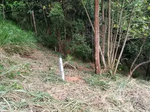 Land for Sale Gampola