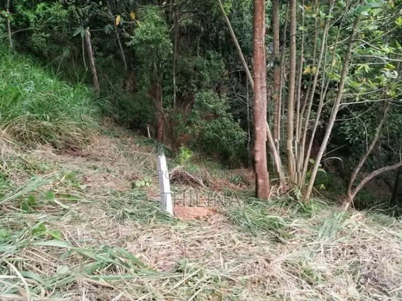 Land for Sale Gampola