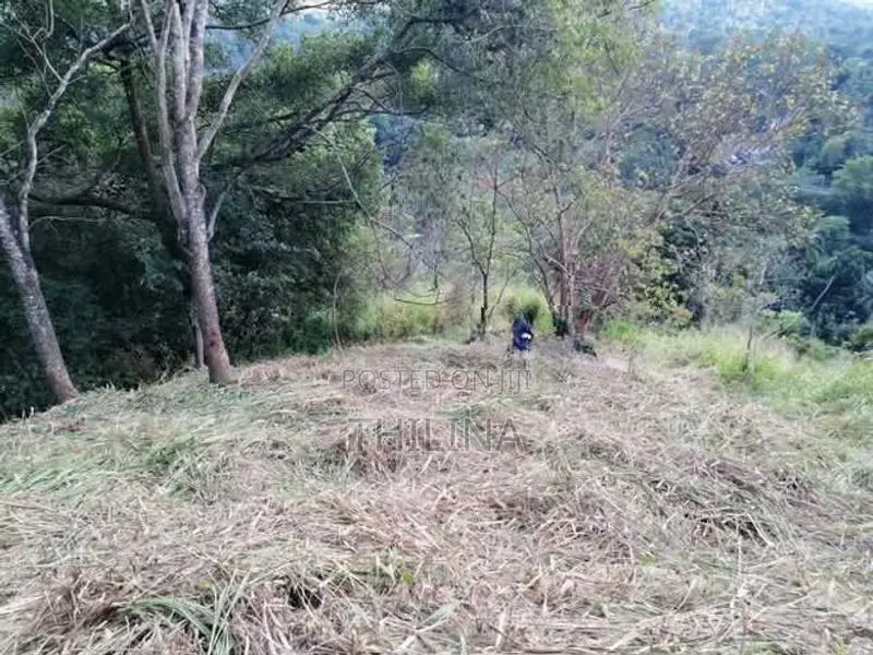Land for Sale Gampola