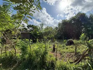 අනුරාධපුරයේ වටිනා ඉඩමක් විකිණීමට Land for Sale in Anuradhapura