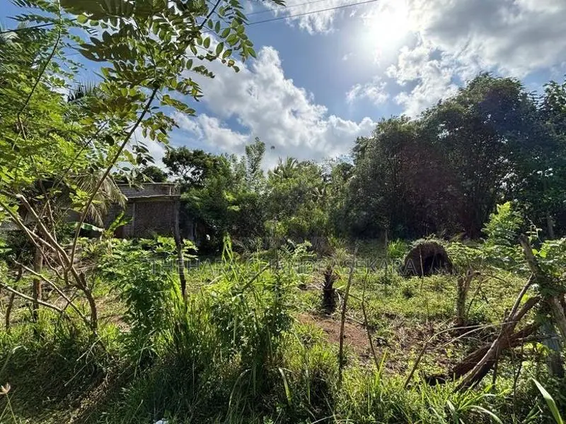 අනුරාධපුරයේ වටිනා ඉඩමක් විකිණීමට Land for Sale in Anuradhapura