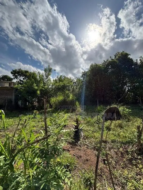 අනුරාධපුරයේ වටිනා ඉඩමක් විකිණීමට Land for Sale in Anuradhapura