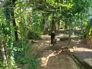Residential Land for Sale – Udugampola, Gampaha.